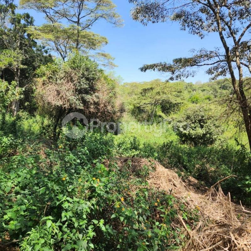 Land for sale Karen Nairobi