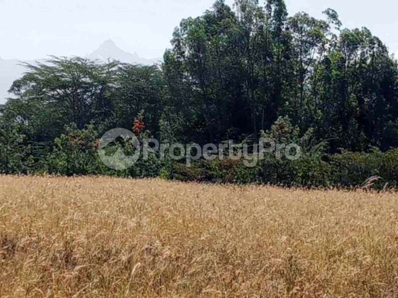 Land for sale Nanyuki Nanyuki