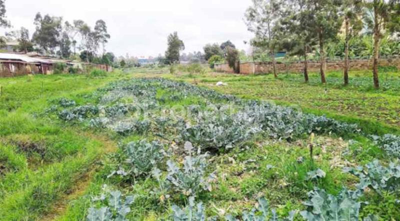 Residential Land for sale Loresho Nairobi