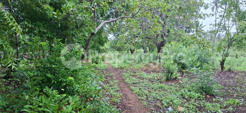 Land for sale Watamu Watamu