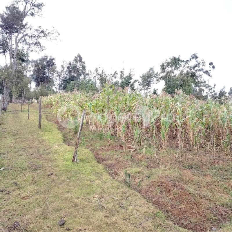 Land for sale Kinangop Nyandarua