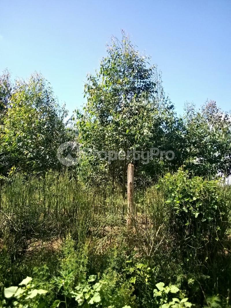 Land for sale Meru Meru