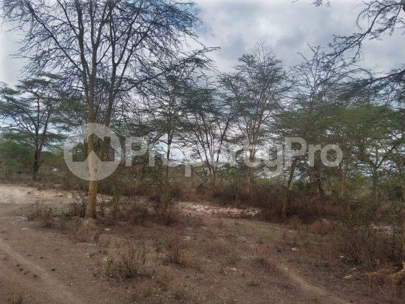 Land for sale Gilgil Nakuru