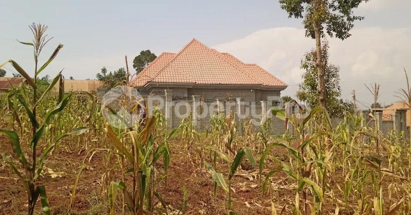 Land for sale Bugembe kyabazinga palace  Bugembe Jinja Eastern - 4