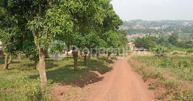 Land for sale Bugembe kyabazinga palace  Bugembe Jinja Eastern - 6