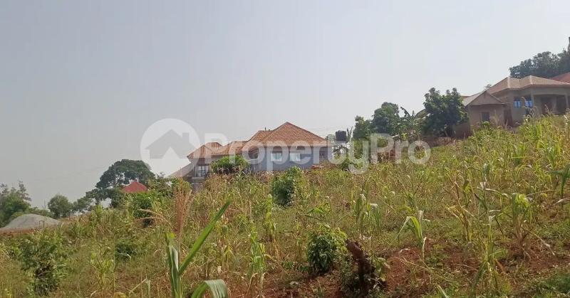 Land for sale Bugembe kyabazinga palace  Bugembe Jinja Eastern - 7