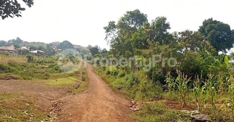Land for sale Bugembe kyabazinga palace  Bugembe Jinja Eastern - 2