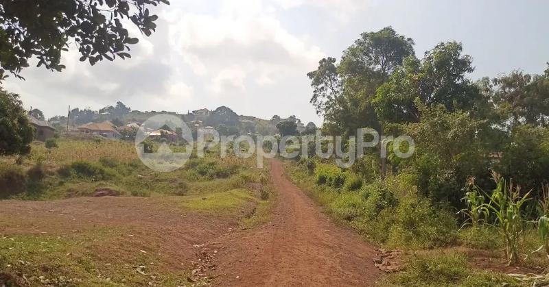 Land for sale Bugembe kyabazinga palace  Bugembe Jinja Eastern - 1