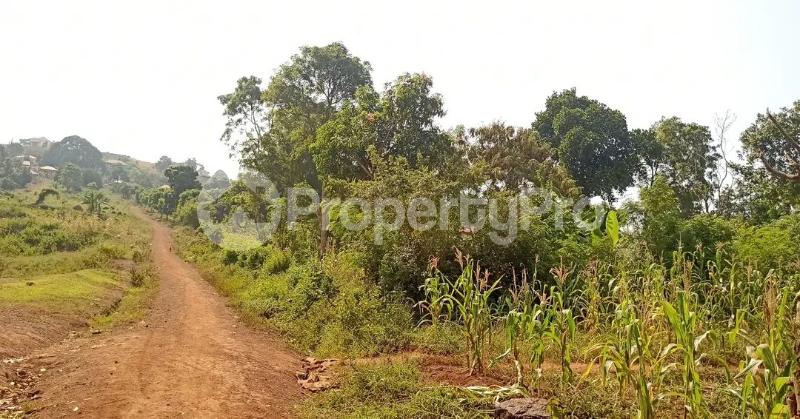 Land for sale Bugembe kyabazinga palace  Bugembe Jinja Eastern - 3