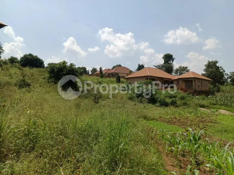 Land for sale Namugongo kiwango jomayi estate  Goma Mukono Central - 1