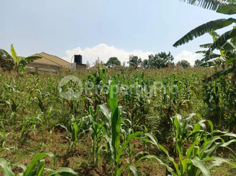 Land for sale Namugongo kiwango jomayi estate  Goma Mukono Central - 7