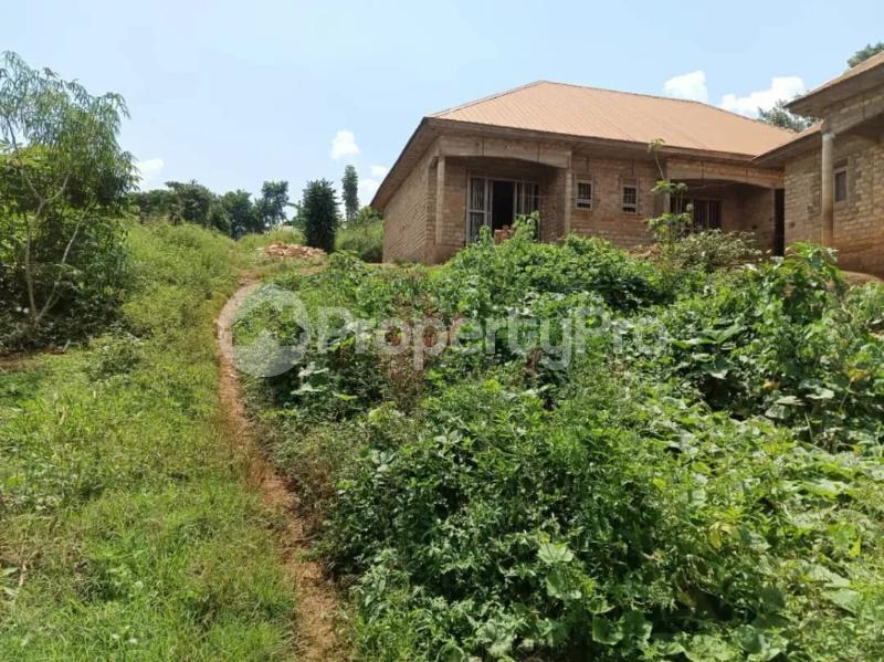Land for sale Namugongo kiwango jomayi estate  Goma Mukono Central - 6