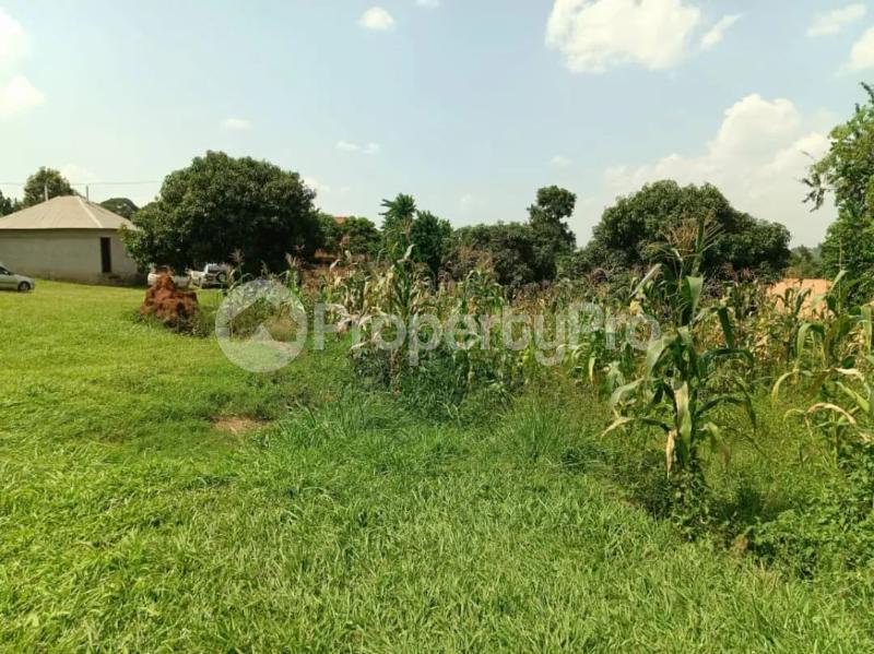 Land for sale Namugongo kiwango jomayi estate  Goma Mukono Central - 3
