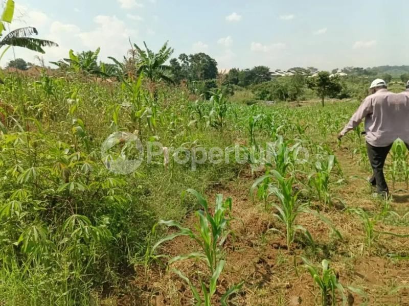 Land for sale Namugongo kiwango jomayi estate  Goma Mukono Central - 5