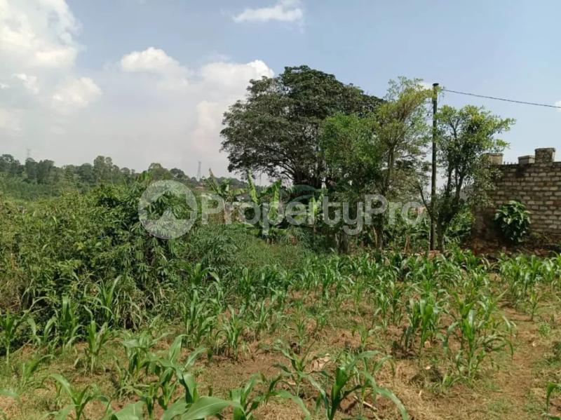 Land for sale Namugongo kiwango jomayi estate  Goma Mukono Central - 2