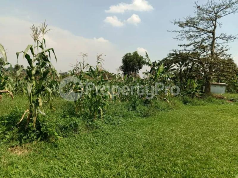 Land for sale Namugongo kiwango jomayi estate  Goma Mukono Central - 4
