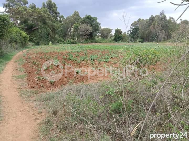 Land for sale Nanyuki Nanyuki
