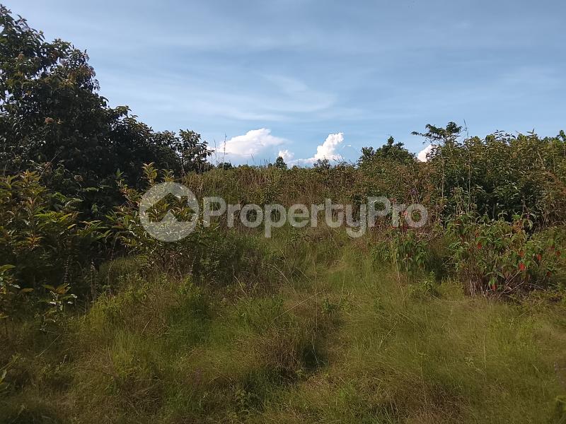 Land for sale Bukakata, Kisasa Masaka Central - 3