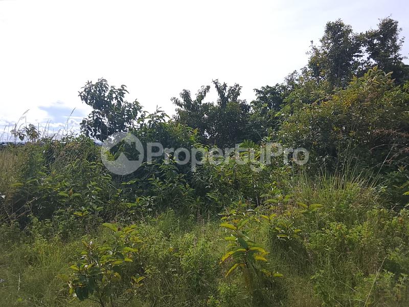 Land for sale Bukakata, Kisasa Masaka Central - 1