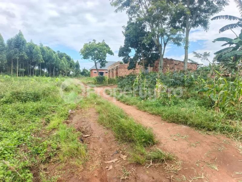Land for sale Mukono katosi karengera Gaba Mukono Central - 0
