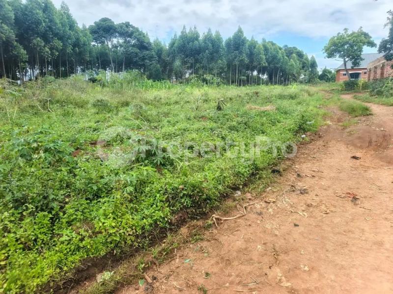 Land for sale Mukono katosi karengera Gaba Mukono Central - 3