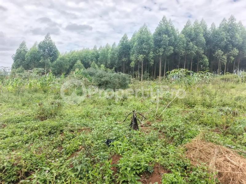 Land for sale Mukono katosi karengera Gaba Mukono Central - 1