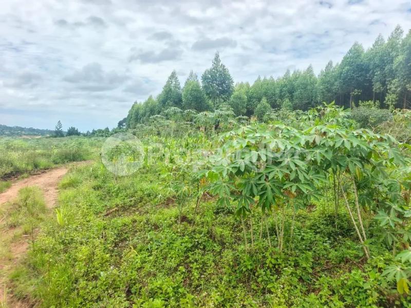 Land for sale Mukono katosi karengera Gaba Mukono Central - 2