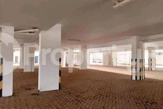 Flat&Apartment for rent Ruaka Nairobi