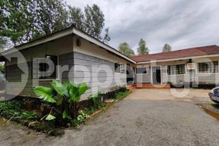 Houses for rent Karen Nairobi