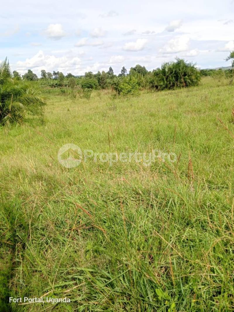 Land for sale Kyaka kyegegwa  Kyegegwa Western - 1