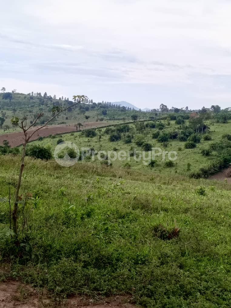 Land for sale Kyaka kyegegwa  Kyegegwa Western - 0