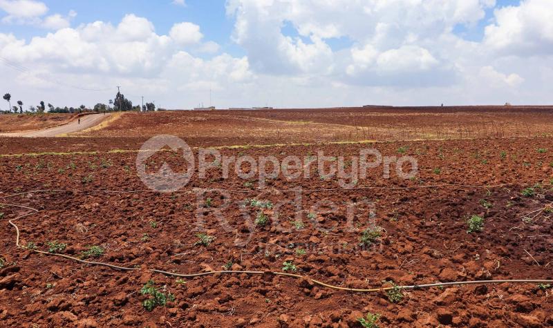 Agricultural Land for sale Maritati Centre, Timau, Nanyuki Nanyuki - 0