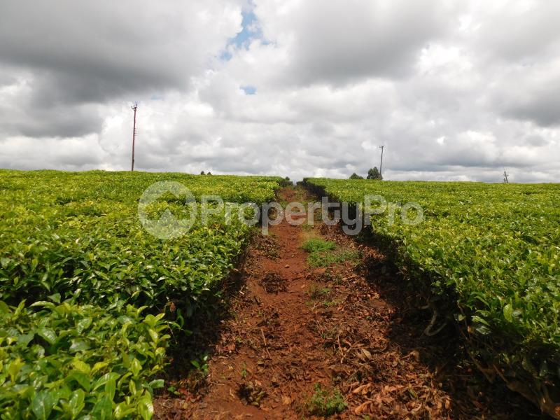 Land for sale Muthaiga Nairobi