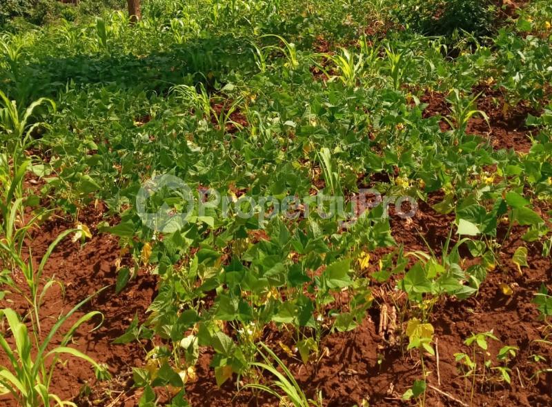 houses for Sale in Kenya
