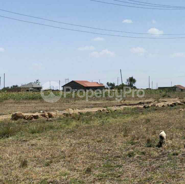 Land for sale Juja Kiambu