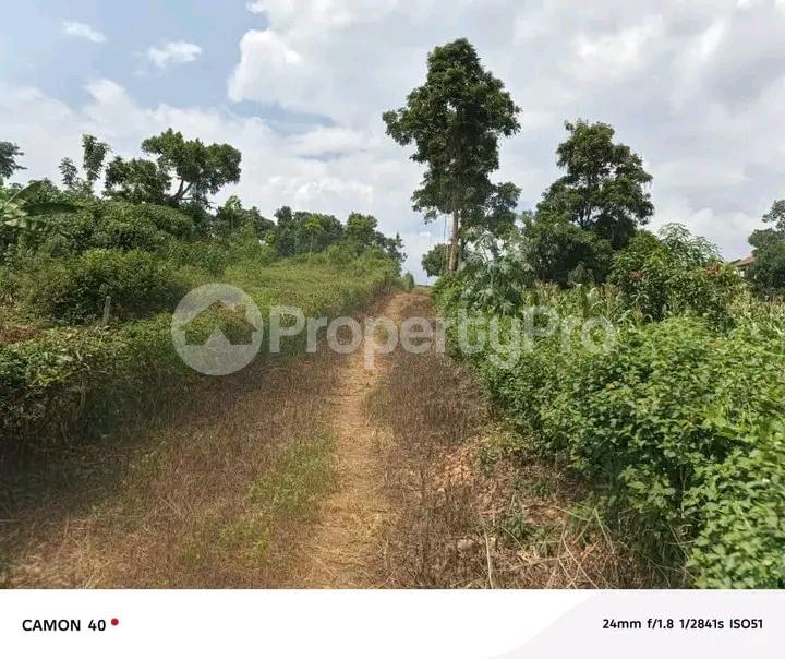 Land for sale Namugongo road  Wakiso Central - 4