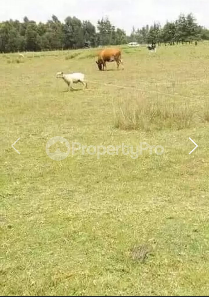 Land for sale Nyandarua Nyandarua