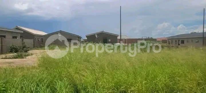 Stands & Residential land Land for sale Emganwini , Behind Food For Less Emganwini Bulawayo High-Density Bulawayo - 3