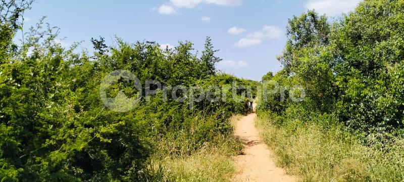 Land for sale Magarini Kilifi