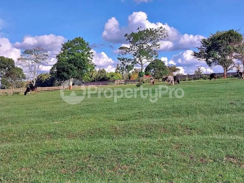 Land for sale Tigoni Nairobi Central Nairobi