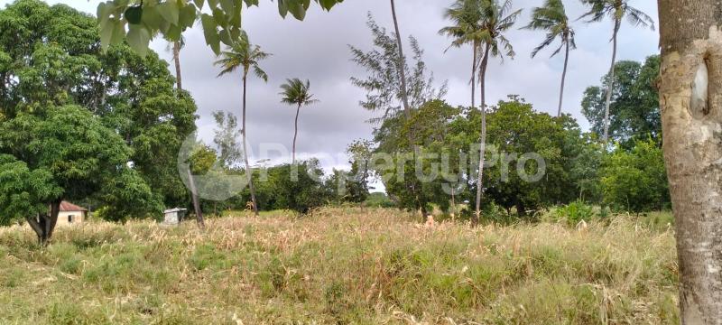 Land for sale Kilifi North Kilifi