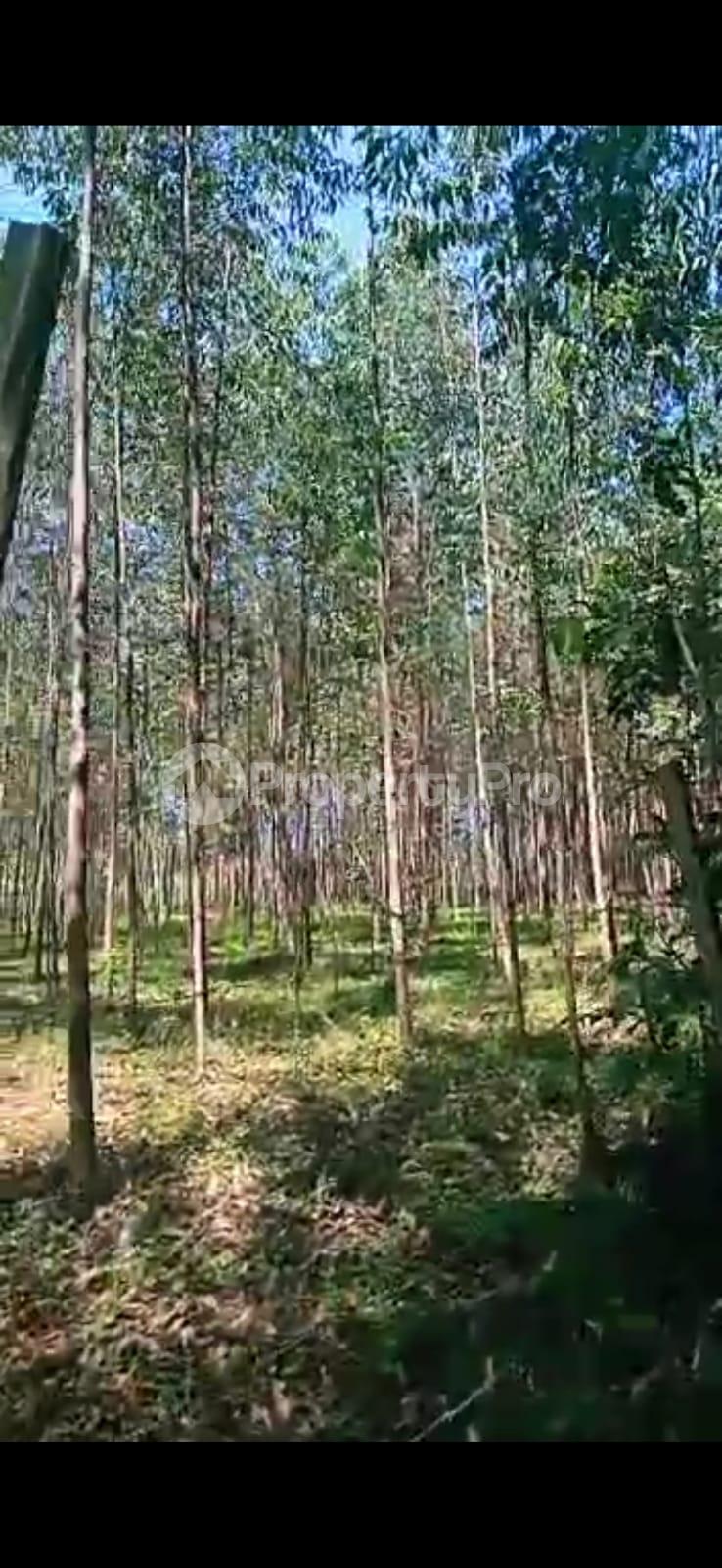 Residential Land for sale Kituti Chache Kisii (PID 1AJRD) PropertyPro