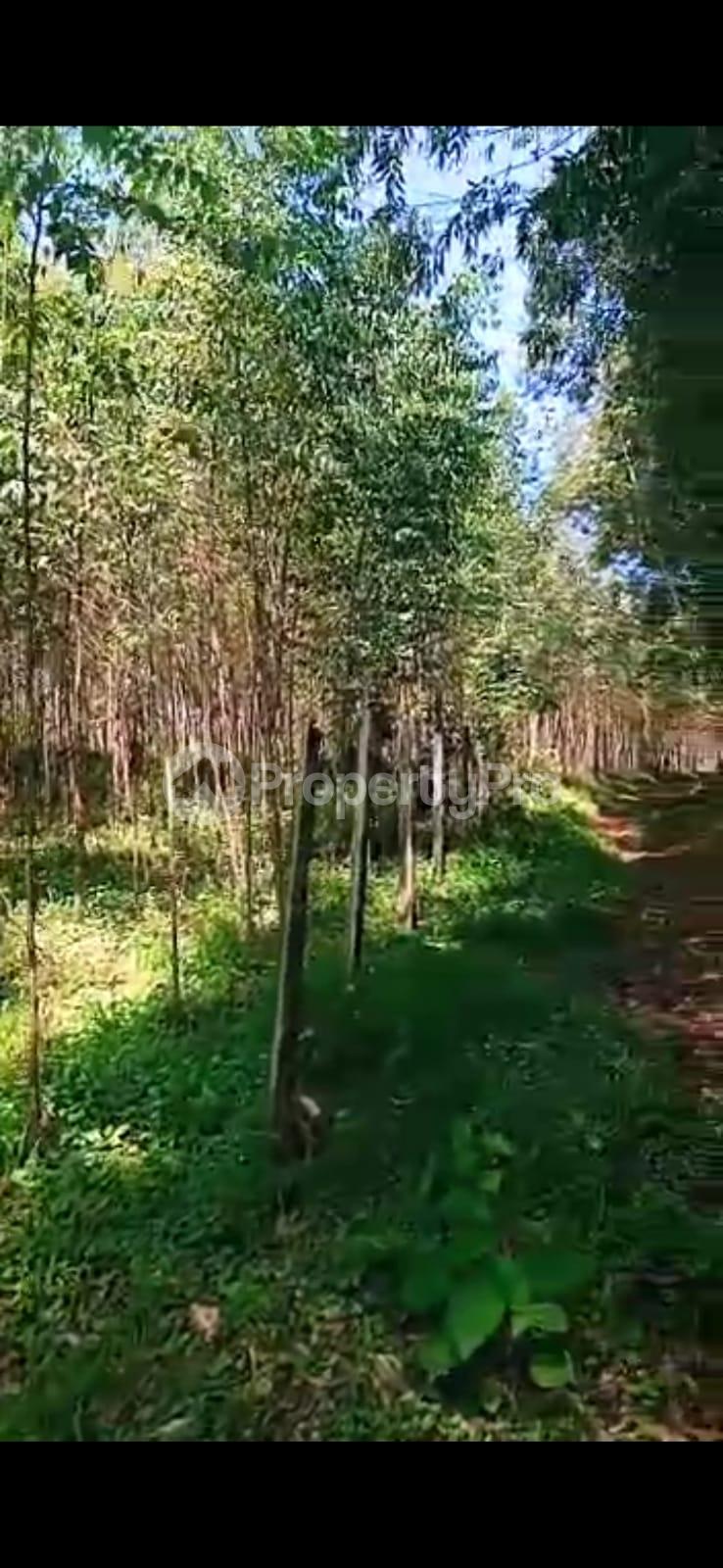 Residential Land for sale Kituti Chache Kisii (PID 1AJRD) PropertyPro