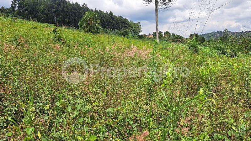 Land for sale Kyegegwa kakabara Kyegegwa Western - 3