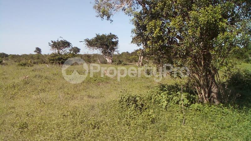 Land for sale Malindi Kilifi