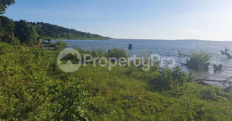 Land for sale Mpunge mpatta katosi road  Buikwe Central - 4