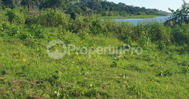 Land for sale Mpunge mpatta katosi road  Buikwe Central - 2