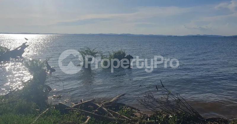 Land for sale Mpunge mpatta katosi road  Buikwe Central - 1