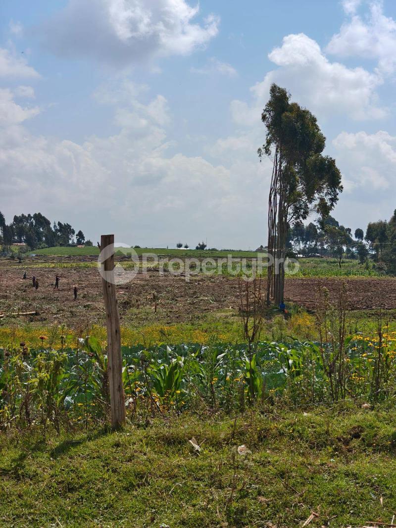Land for sale Molo Nakuru