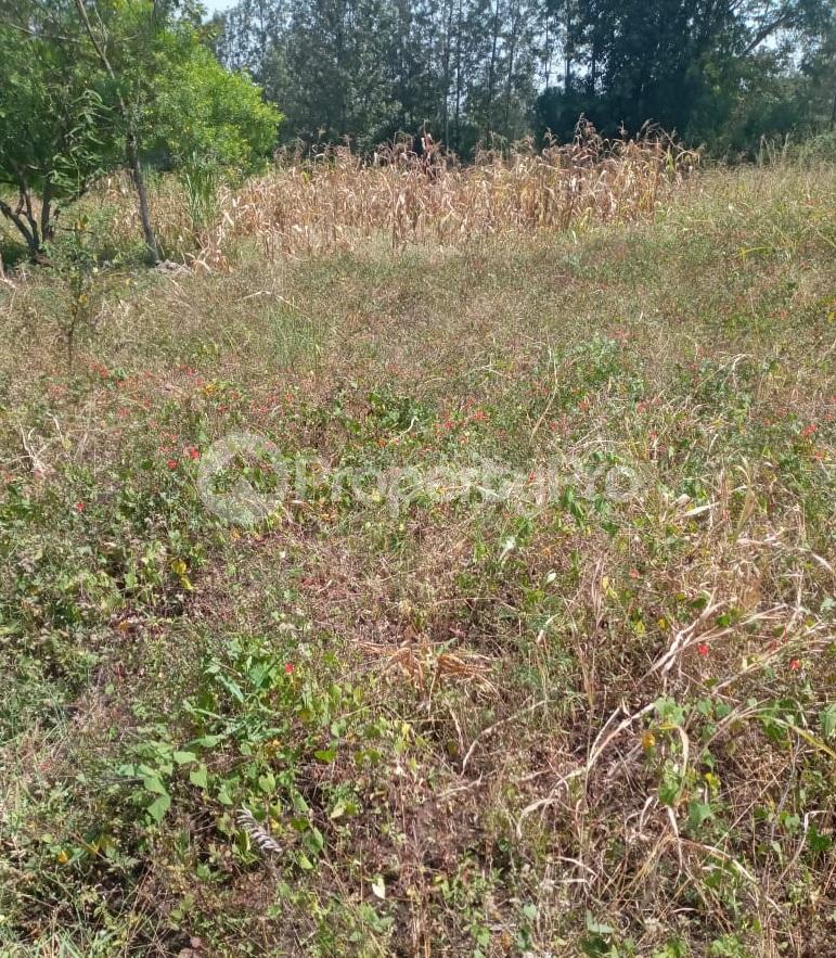 houses for Sale in Nairobi, Kenya